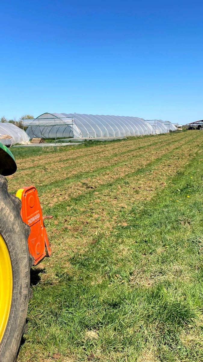 Feldvorbereitung im Frühling vor Gewächshäusern Frisch vorbereiteter Acker mit Pflanzreihen vor großen Gewächshäusern einer Solawi an einem sonnigen Tag, im Vordergrund ein Traktor.