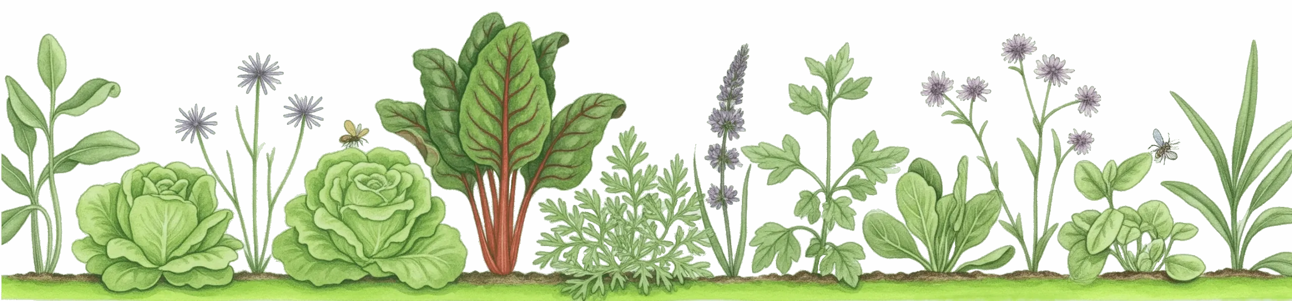 Divider mit frischem Gemüse Divider mit frischem Gemüse und Blumen auf dem Acker