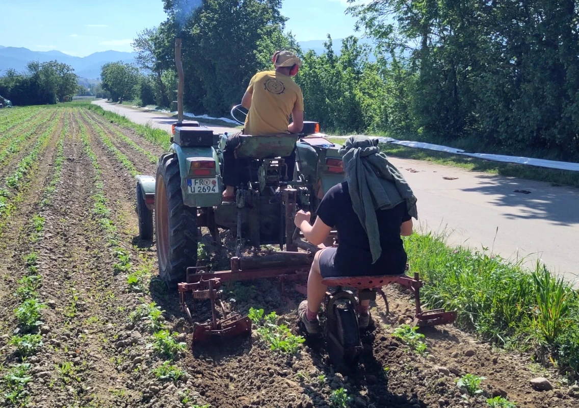 Team bei der maschinellen Bodenbearbeitung auf dem Gemüseacker Zwei Personen bei der Feldarbeit auf einem grünen Traktor, der durch Reihen junger Gemüsepflanzen auf einem Acker fährt.