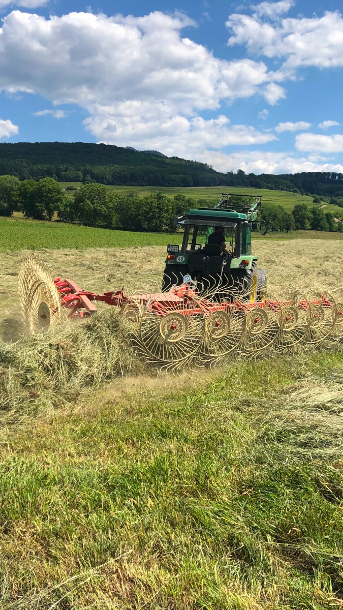 Traktor bei der Heuernte im Sommer Grüner Traktor mit einem großen, roten Kreiselheuer bei der Heuernte auf einer Wiese an einem sonnigen Tag.