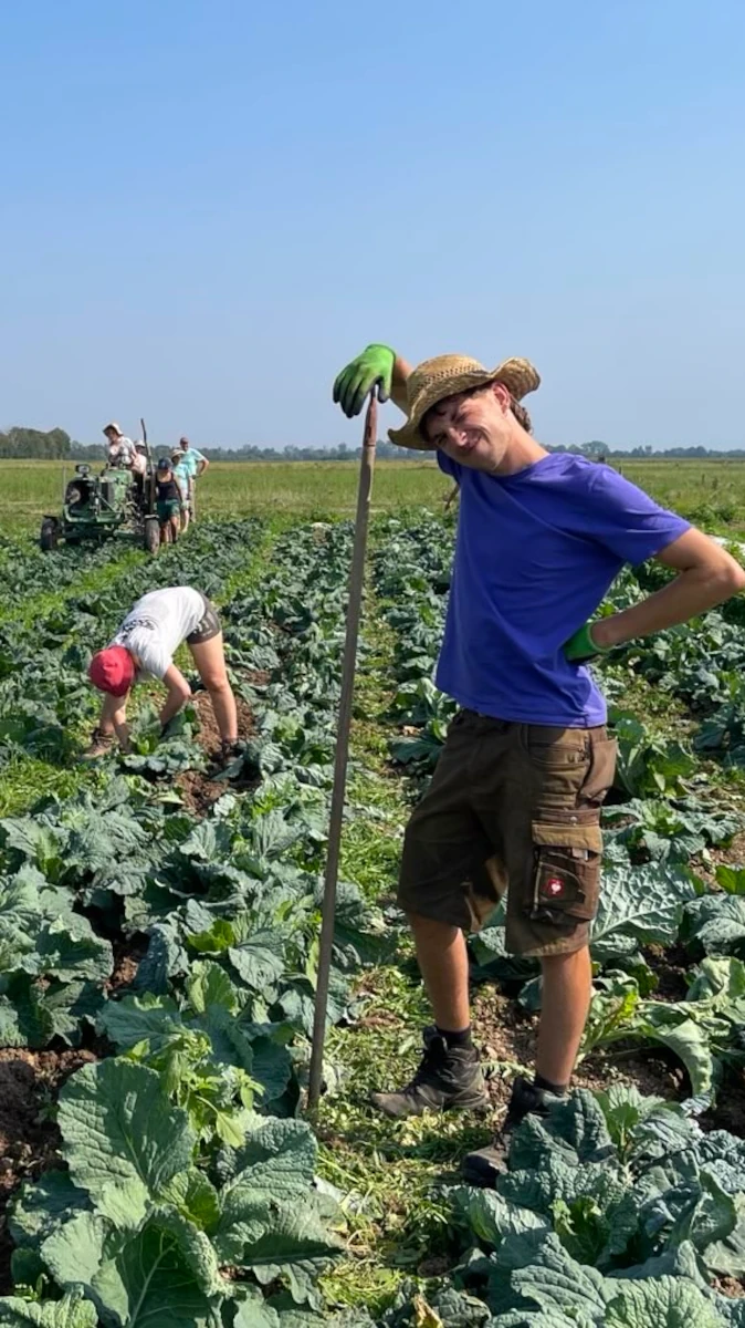 Junger Mann bei der Feldarbeit in Solawi Ein junger Helfer mit Strohhut macht eine Pause bei der Feldarbeit in einem Kohlfeld einer Solawi und lächelt in die Kamera.