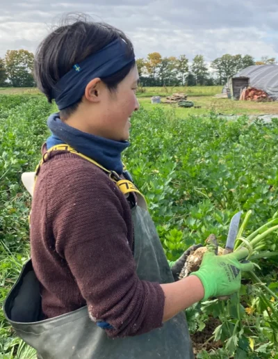 Lächelnde Person vom Hof-Team bei der Ernte von frischem Knollensellerie auf dem Acker.