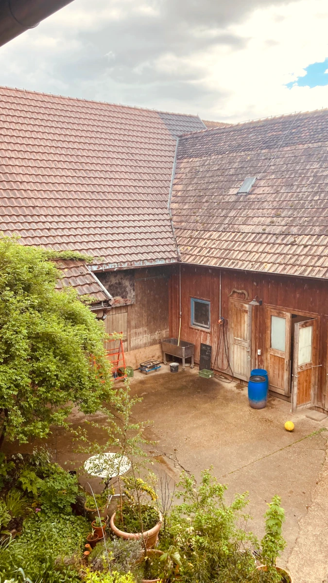 Bauernhof Innenhof nach dem Regen Blick von oben auf den nassen Innenhof eines Bauernhofs mit roten Ziegeldächern und Holzfassaden, umgeben von grünen Pflanzen.