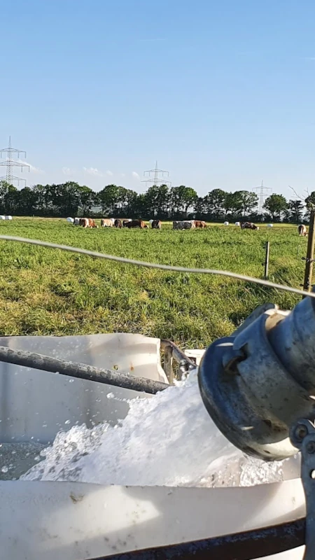 Wasserversorgung für Kühe auf der Weide Eine Wasserpumpe füllt eine Tränke auf einer Weide, im Hintergrund grast eine Herde Kühe unter blauem Himmel an einem Sommertag.